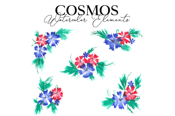 Cosmos Regular Flower Graphic Design Asset Review