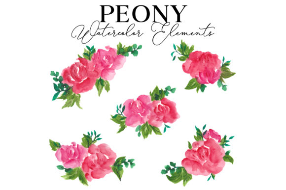 Peony Regular Watercolor Graphic Design Asset Review