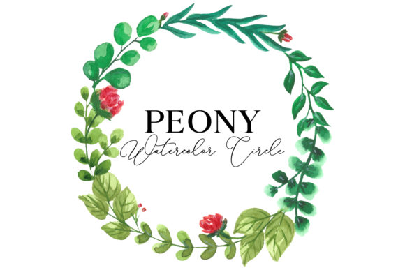 Peony Watercolor Circle Embroidery Review
