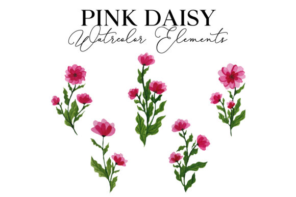 Pink Daisy Watercolor Regular - A Versatile Graphic Design Asset
