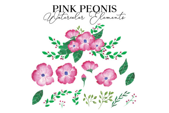 Pink Peonis Watercolor Graphics for Web Elements