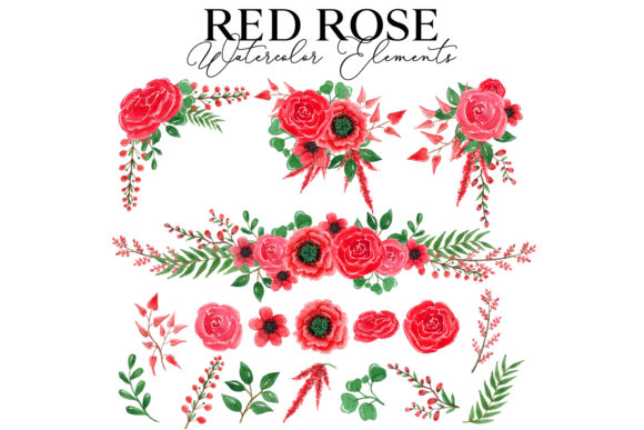Red Rose Watercolor Package for Web Elements and Graphics